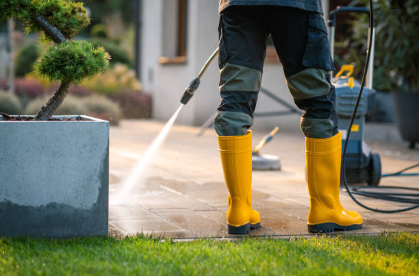 Best Roof Power Washing Services  in Hughesville, PA